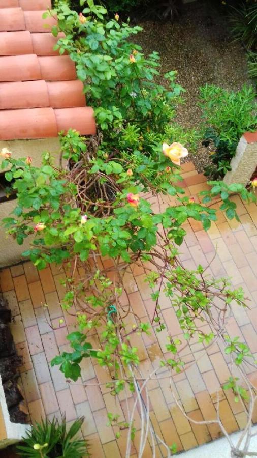 Maison Charmante A Sainte-Marie Avec Grand Jardin エクステリア 写真